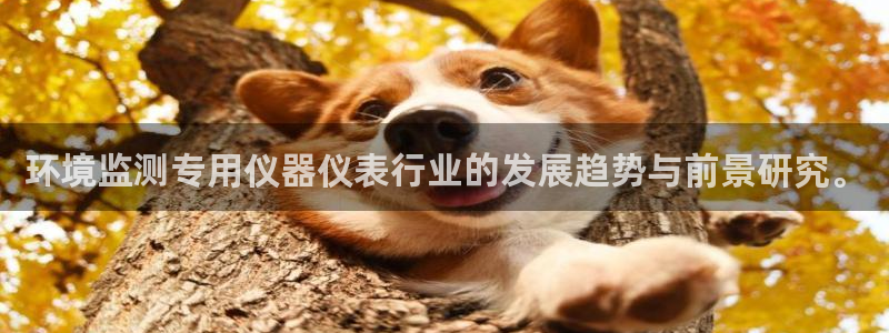 天宏娱乐男神