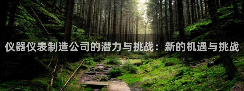 天宏娱乐杨叔