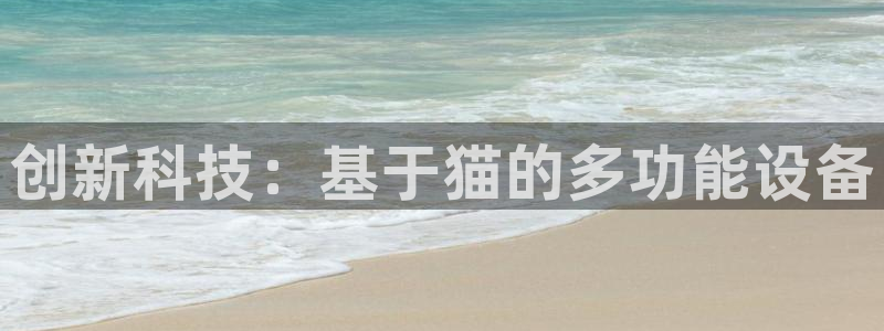 天宏娱乐平叔：创新科技：基于猫的多功能设备