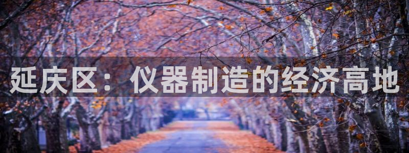 天宏娱乐李叔：延庆区：仪器制造的经济高地