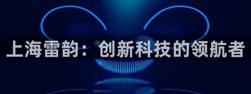 天宏娱乐小刘叔：上海雷韵：创新科技的领航者
