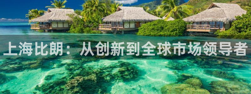 天宏娱乐家：上海比朗：从创新到全球市场领导者