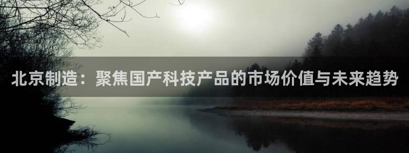 天宏娱乐河源：北京制造：聚焦国产科技产品的市场价值与未来趋势