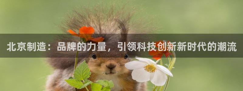 天宏娱乐会所电话：北京制造：品牌的力量，引领科技创新新时代的