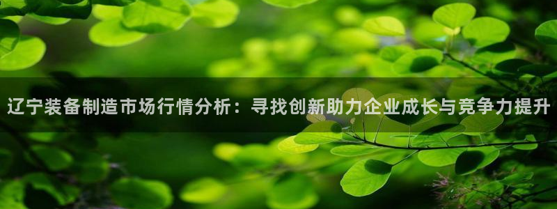 天宏娱乐招商主管招聘：辽宁装备制造市场行情分析：寻找创新助力
