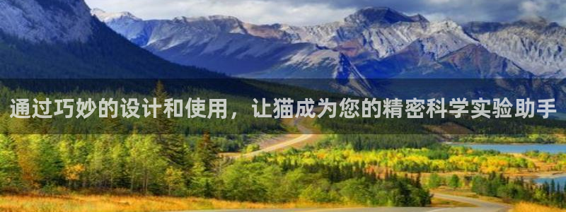 天宏娱乐小号官网下载：通过巧妙的设计和使用，让猫成为您的精密