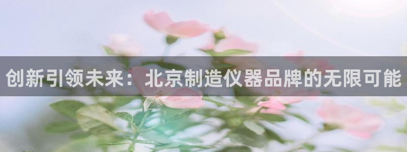 天宏娱乐林叔：创新引领未来：北京制造仪器品牌的无限可能