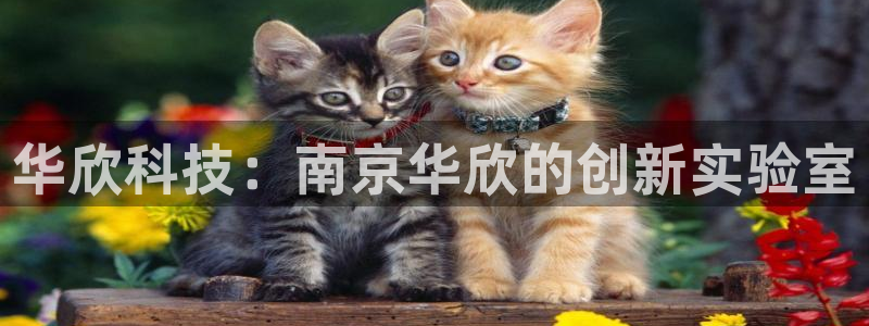 天宏娱乐场所：华欣科技：南京华欣的创新实验室