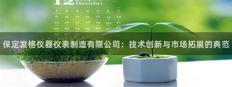 天宏娱乐陈叔：保定发格仪器仪表制造有限公司：技术创新与市场拓