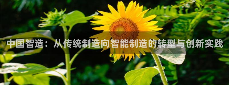天宏娱乐老韩：中国智造：从传统制造向智能制造的转型与创新实践