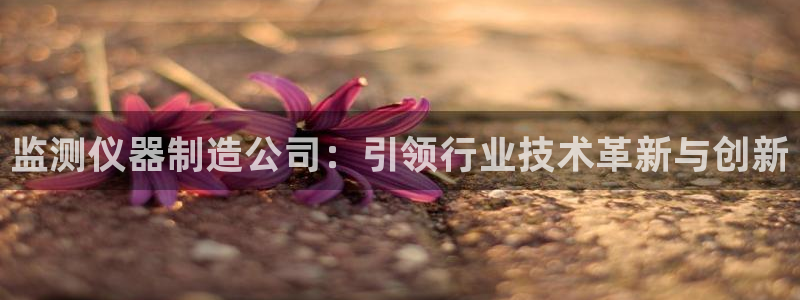 天宏娱乐是干嘛的：监测仪器制造公司：引领行业技术革新与创新