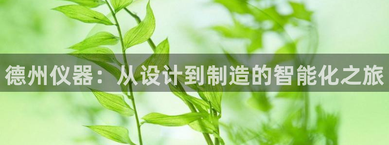 天宏娱乐直播间：德州仪器：从设计到制造的智能化之旅