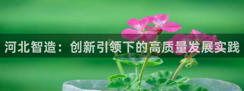 西安天宏娱乐直播间：河北智造：创新引领下的高质量发展实践