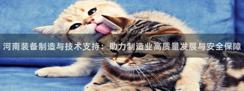 义宏娱乐林天毅