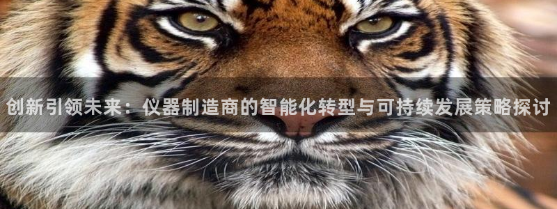 天宏娱乐团：创新引领未来：仪器制造商的智能化转型与可持续发展