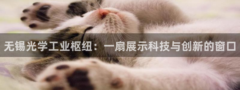天宏娱乐 直播间：无锡光学工业枢纽：一扇展示科技与创新的窗口