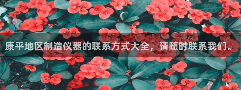 河源天宏娱乐店：康平地区制造仪器的联系方式大全，请随时联系我