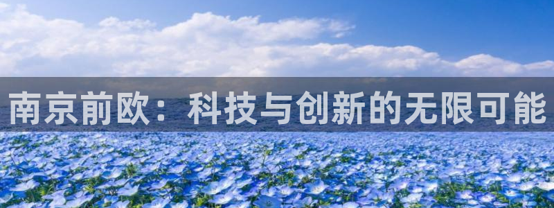 宏天娱乐说：南京前欧：科技与创新的无限可能