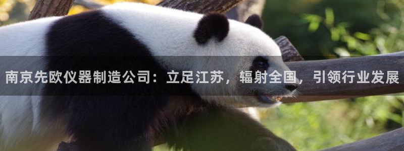 天宏娱乐为什么被骂：南京先欧仪器制造公司：立足江苏，辐射全国