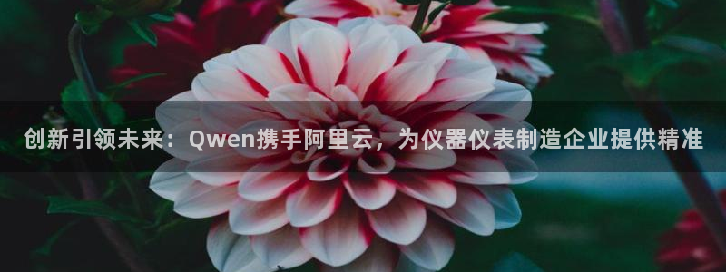 天宏娱乐河源店：创新引领未来：Qwen携手阿里云，为仪器仪表
