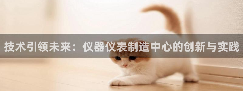 天宏娱乐直播团队名单：技术引领未来：仪器仪表制造中心的创新与