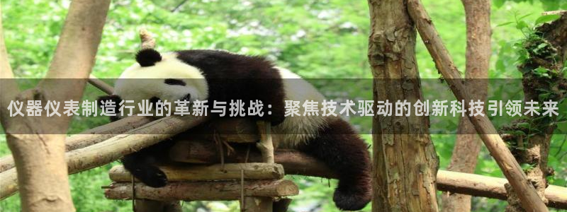 天宏娱乐平台登录：仪器仪表制造行业的革新与挑战：聚焦技术驱动