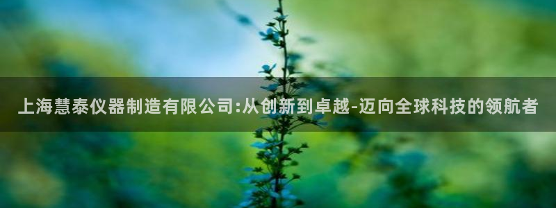 天宏娱乐待遇：上海慧泰仪器制造有限公司:从创新到卓越-迈向全