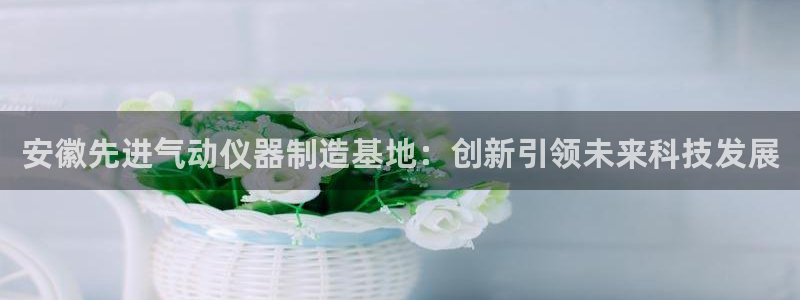 天宏娱乐官网平台注册：安徽先进气动仪器制造基地：创新引领未来