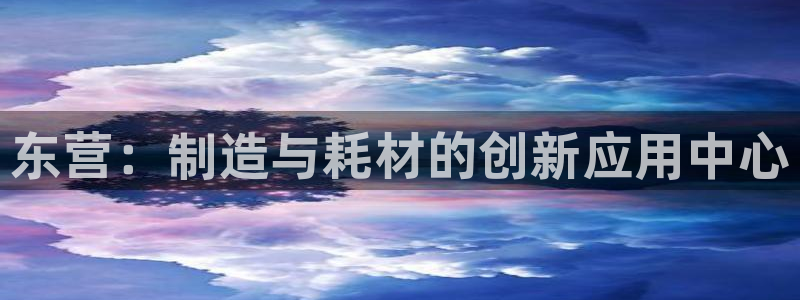 天宏娱乐金大叔：东营：制造与耗材的创新应用中心