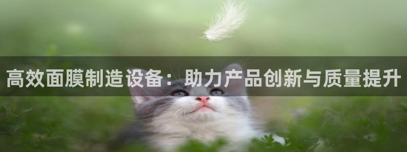 天宏娱乐大叔团队介绍图片：高效面膜制造设备：助力产品创新与质