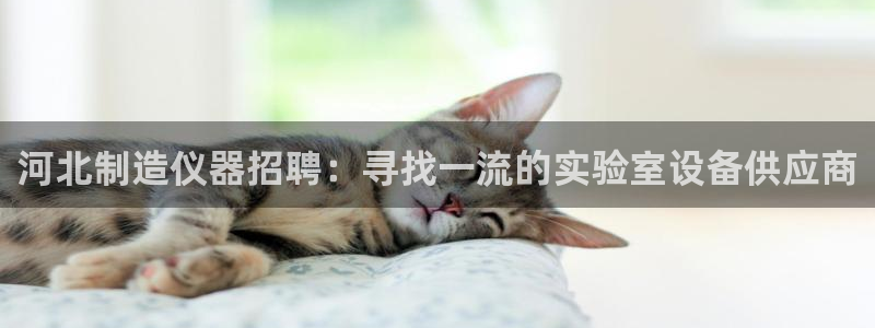 天宏娱乐创始人：河北制造仪器招聘：寻找一流的实验室设备供应商