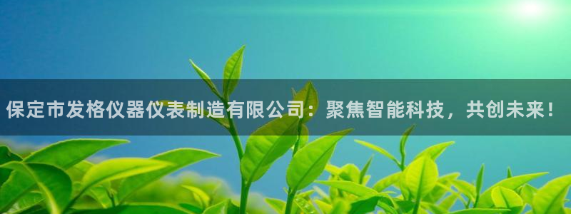 天宏娱乐星空：保定市发格仪器仪表制造有限公司：聚焦智能科技，