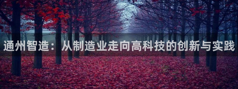 天宏娱乐时时彩：通州智造：从制造业走向高科技的创新与实践