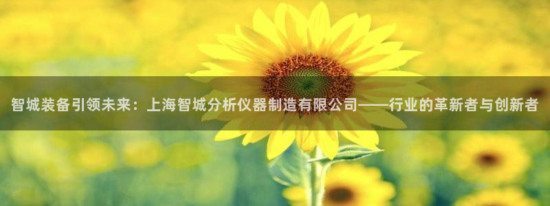 天宏娱乐星空大叔
