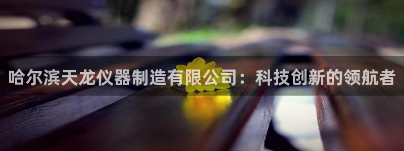 天宏娱乐男神
