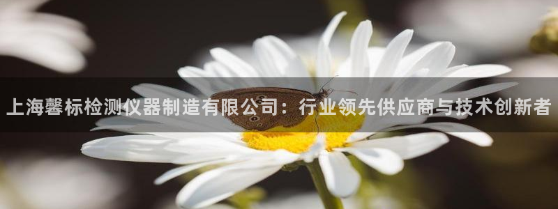 天宏娱乐小号是什么