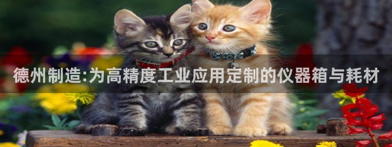 西安天宏娱乐直播间