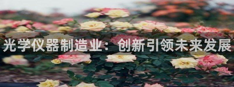 天宏娱乐公会