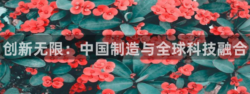 天宏娱乐石叔简介