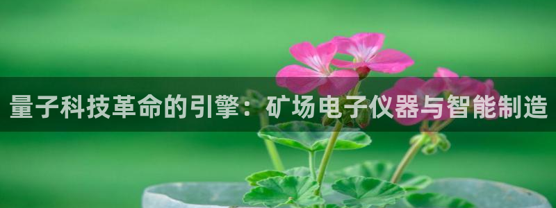 天宏娱乐大叔团队介绍视频：量子科技革命的引擎：矿场电子仪器与