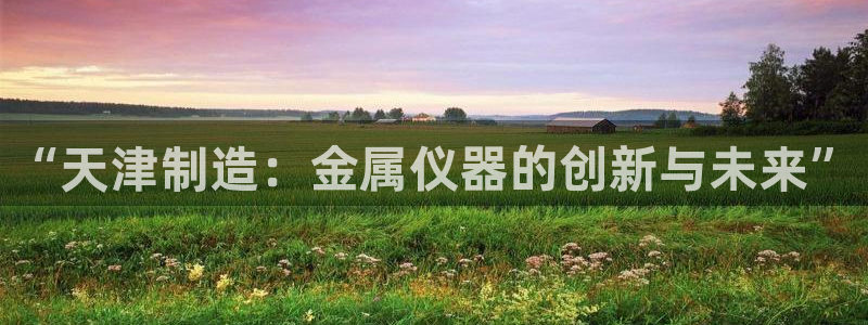 天宏娱乐老板