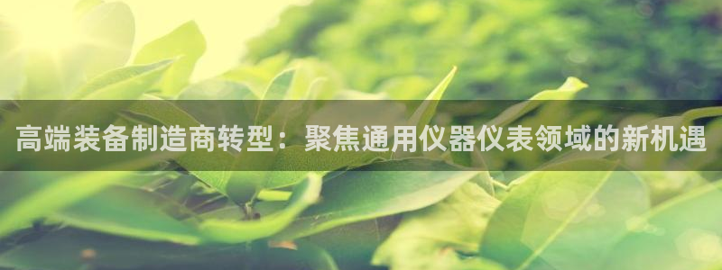 天宏娱乐老男孩团队