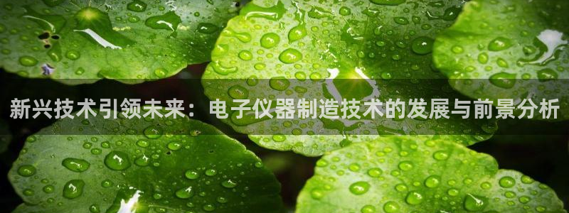 天宏娱乐曳59909：新兴技术引领未来：电子仪器制造技术的发