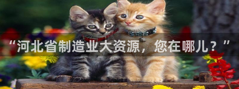 天宏娱乐探索无限空间：“河北省制造业大资源，您在哪儿？”