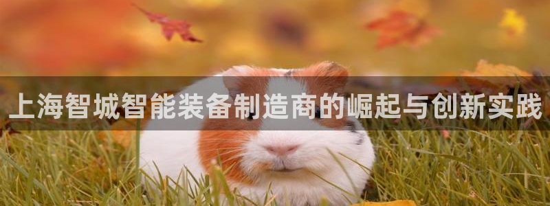 河源天宏娱乐是骗局吗：上海智城智能装备制造商的崛起与创新实践