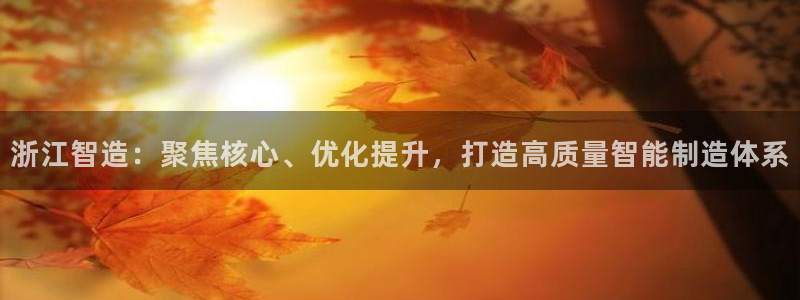 天宏娱乐团购价格多少：浙江智造：聚焦核心、优化提升，打造高质
