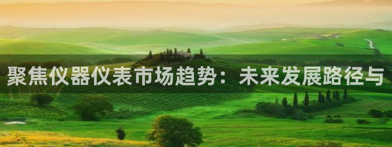 天宏娱乐e OO判官：聚焦仪器仪表市场趋势：未来发展路径与