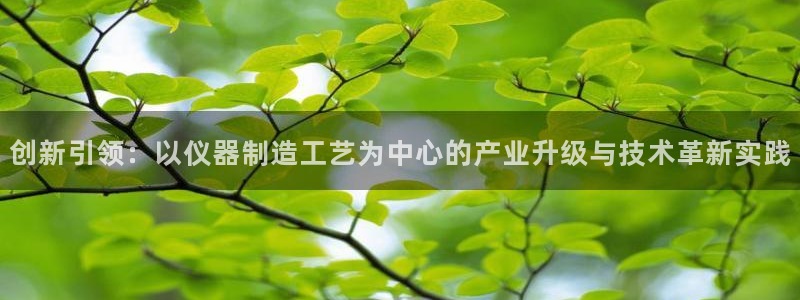 天宏娱乐李叔：创新引领：以仪器制造工艺为中心的产业升级与技术