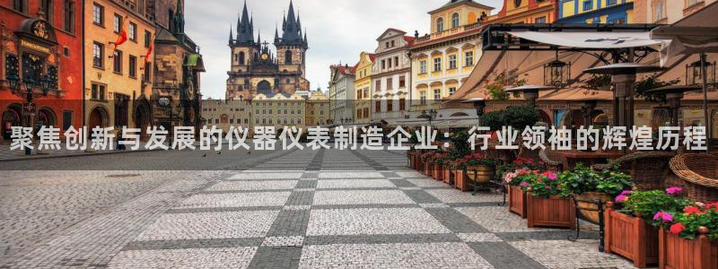 天宏娱乐招商主管招聘：聚焦创新与发展的仪器仪表制造企业：行业