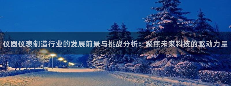 河源天宏娱乐店：仪器仪表制造行业的发展前景与挑战分析：聚焦未